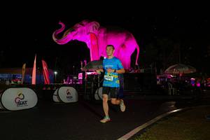 BIB: 
                            <button type="button" onclick="openModal(26542887)" class="btn btn-primary btn-sm float-right btn-popup" data-toggle="modal" data-target=".modal-high-quality">
                        <i class="fas fa-shopping-cart"></i> Add to Cart
                    </button>
                                            <button type="button" onclick="isThisMe(26542887, true)" class="btn btn-success btn-sm float-right btn-popup btn-isme hidden" data-toggle="tooltip" data-placement="bottom" title="นี่คือรูปของคุณใช่ไหม คลิกที่นี่เพื่อเอาเข้าอัลบั้ม">
                        <i class="fas fa-plus"></i> Add to album
                    </button>
                    <button type="button" onclick="isThisMe(26542887, false)" class="btn btn-warning btn-sm float-right btn-popup btn-isnotme hidden">
                        <i class="fas fa-ban"></i> Remove from album
                    </button>